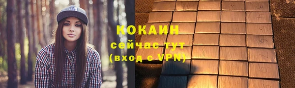 гашик Белокуриха