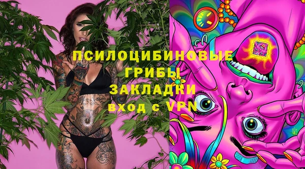 гашик Белокуриха
