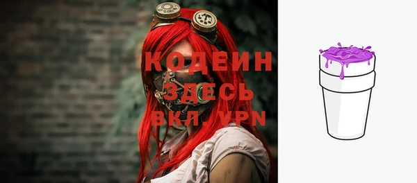 гашик Белокуриха